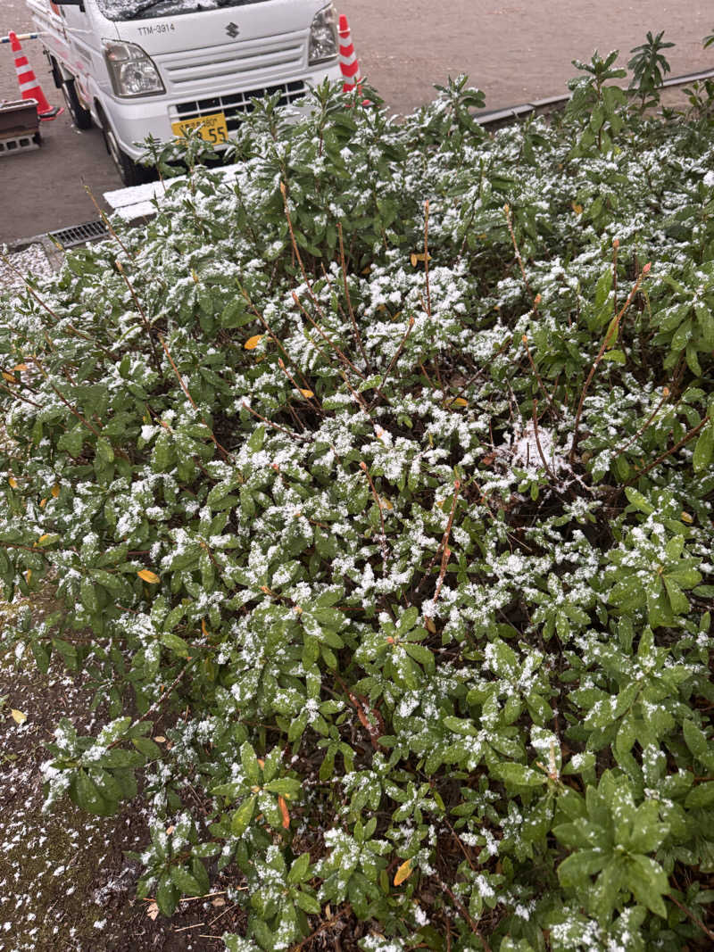 Takuma Kashiharaさんの霧島温泉のサ活写真