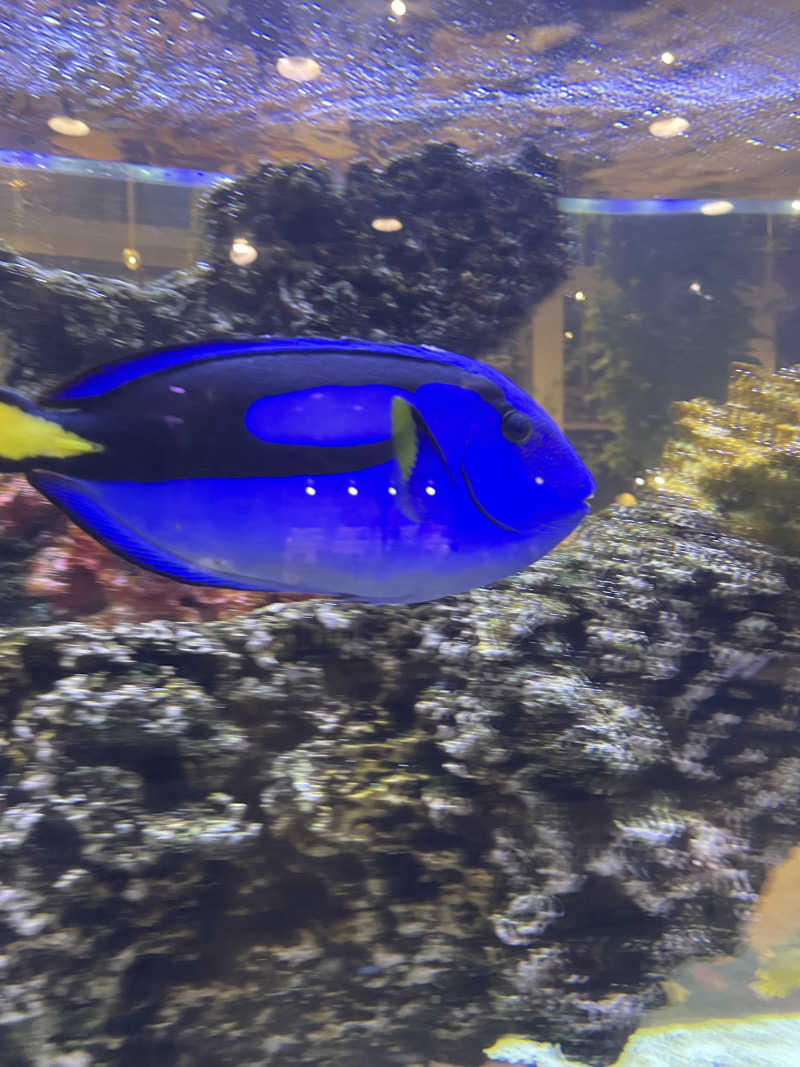 kouichiさんのよみうりランド眺望温泉 花景の湯のサ活写真