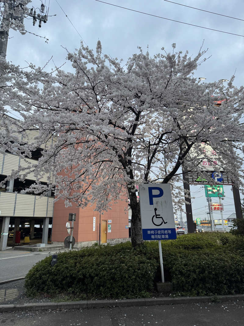 Kazu8さんの天然温泉 ホテルこまちのサ活写真