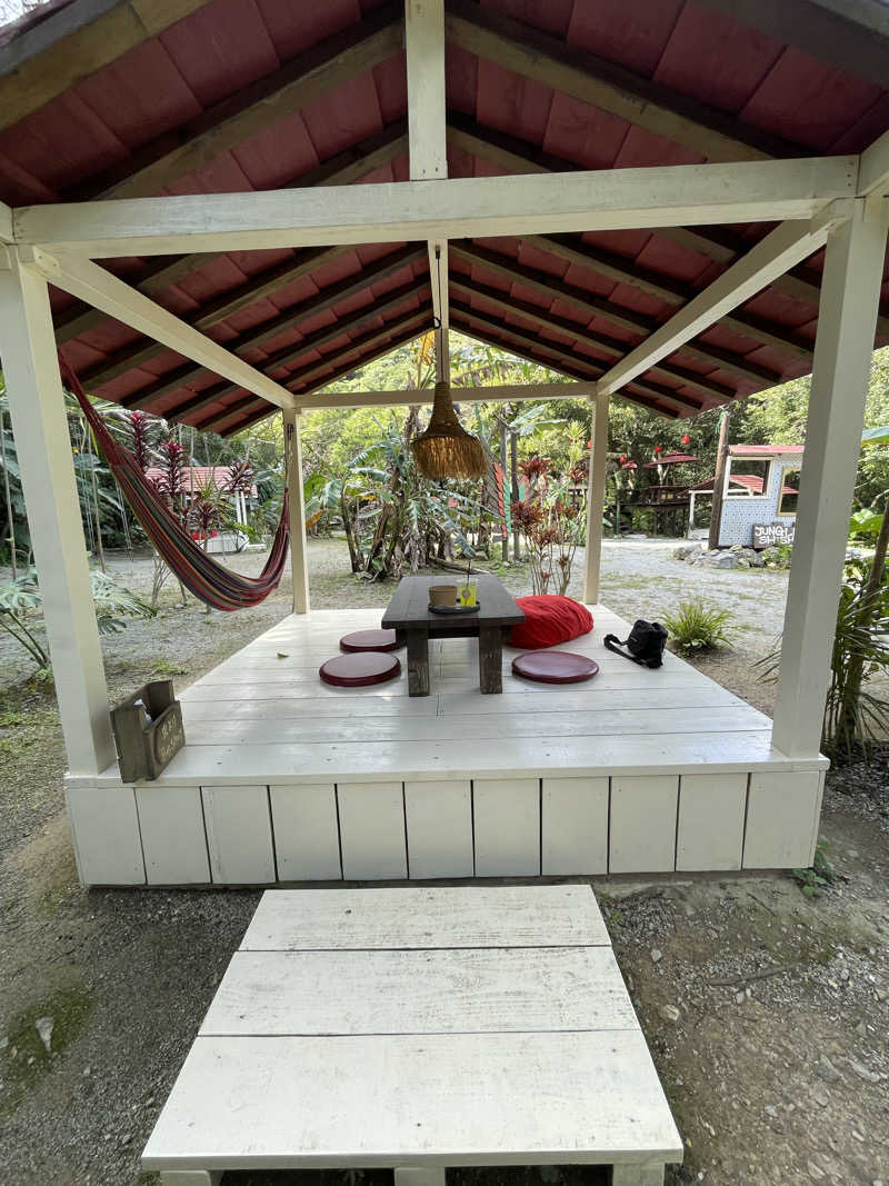 Zumgri（ずんぐり）さんの亜熱帯サウナのサ活写真