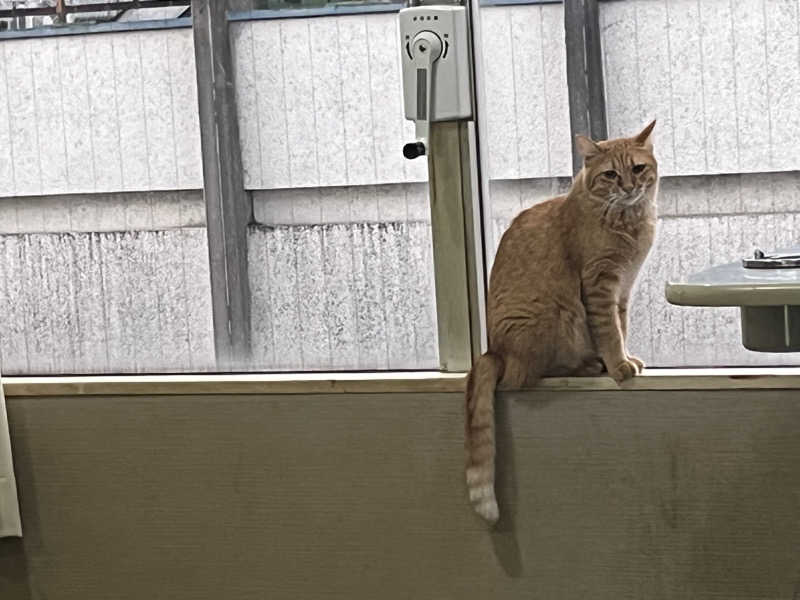 まつおさんのこおりやま駅前サウナ24のサ活写真