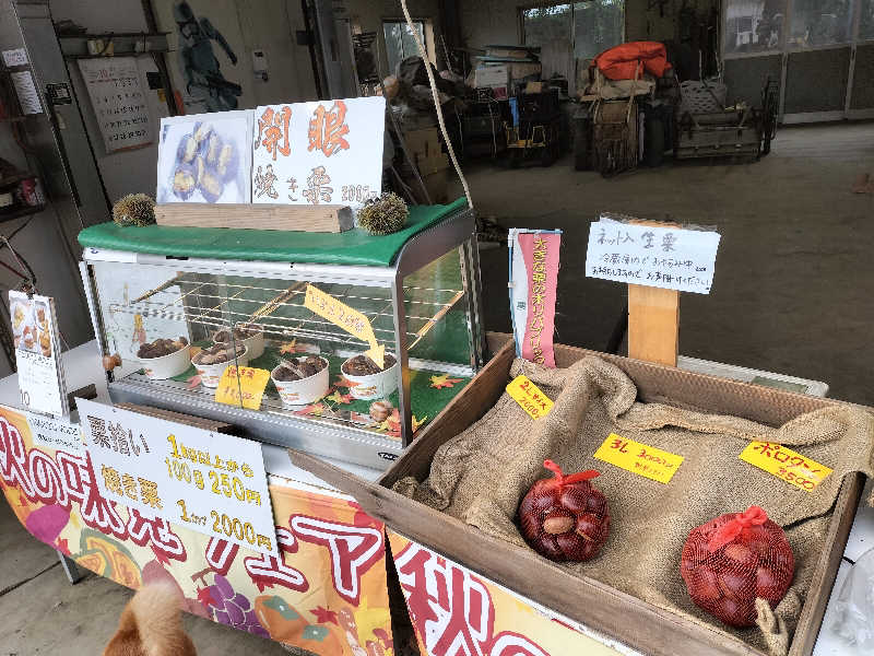 メリノさんのSauna kota LEPOのサ活写真