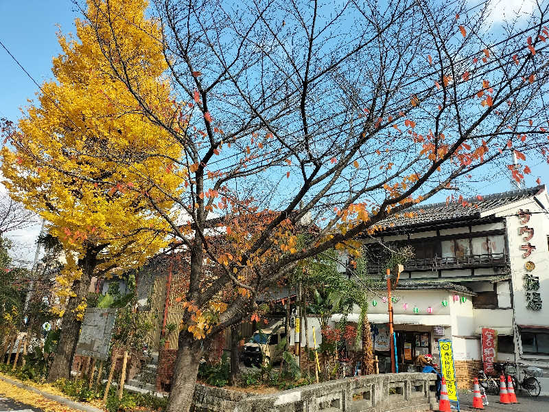 メリノさんのサウナの梅湯のサ活写真