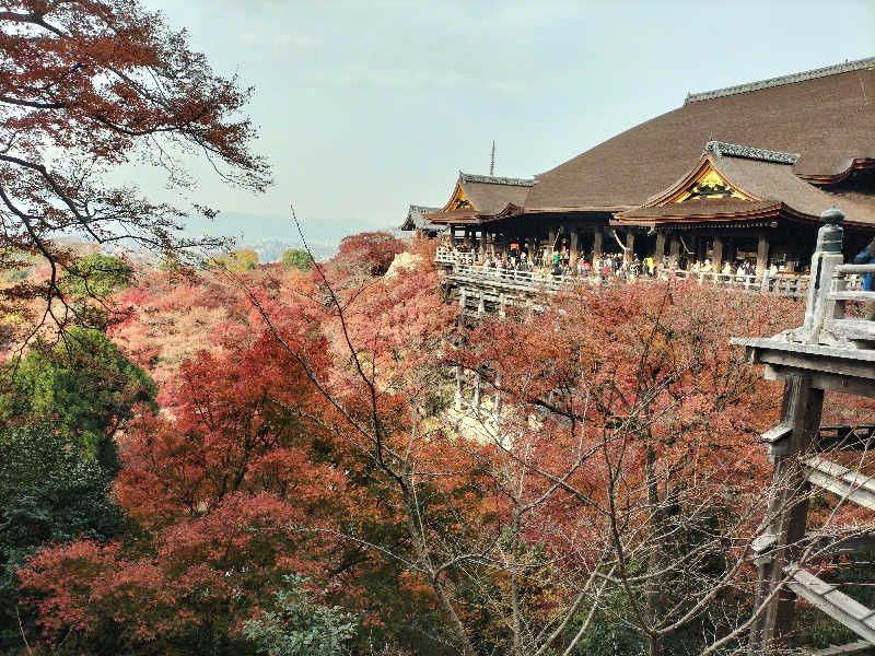 メリノさんのサウナの梅湯のサ活写真