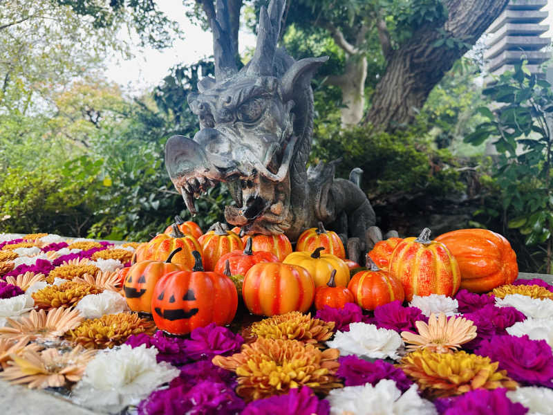 ちゃんほつさんのよみうりランド眺望温泉 花景の湯のサ活写真