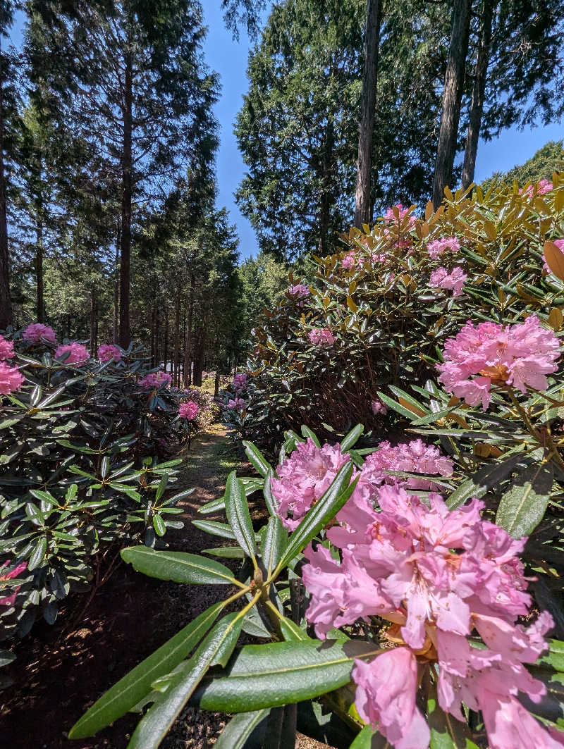 ぐんじんさんの曽爾高原温泉 お亀の湯のサ活写真