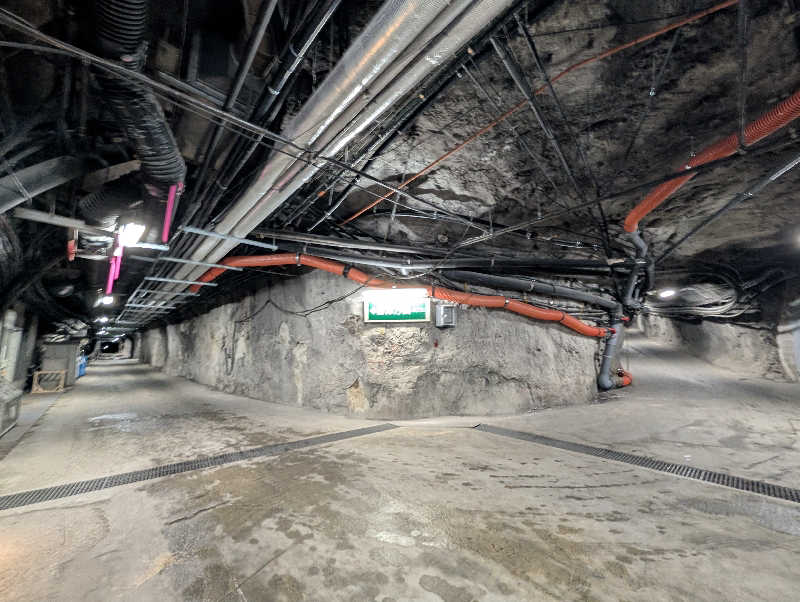 ぐんじんさんの流葉温泉 ニュートリノのサ活写真