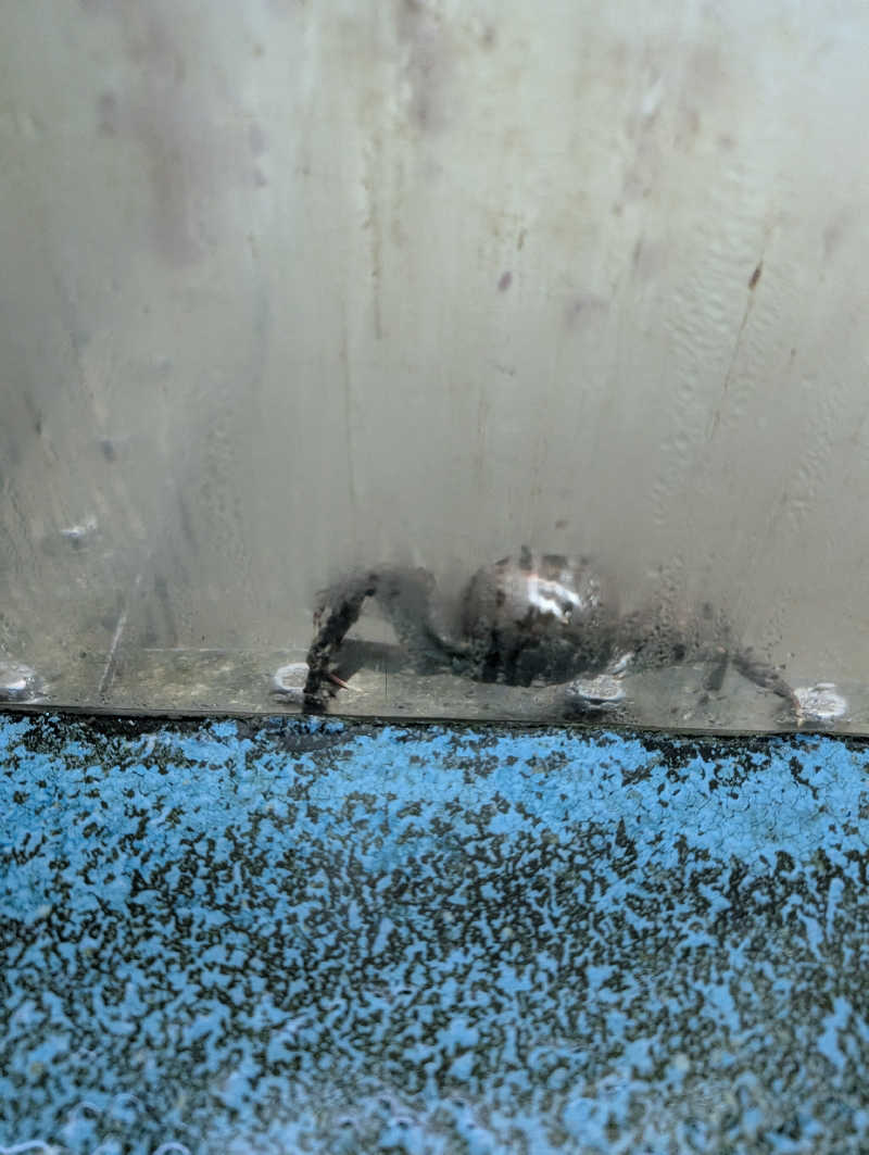 ぐんじんさんの湯の山温泉 希望荘のサ活写真