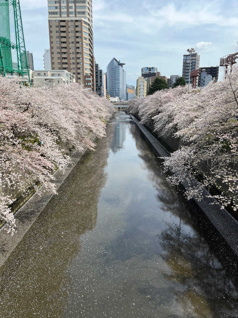 たなかさんの宮前平源泉 湯けむりの庄のサ活写真