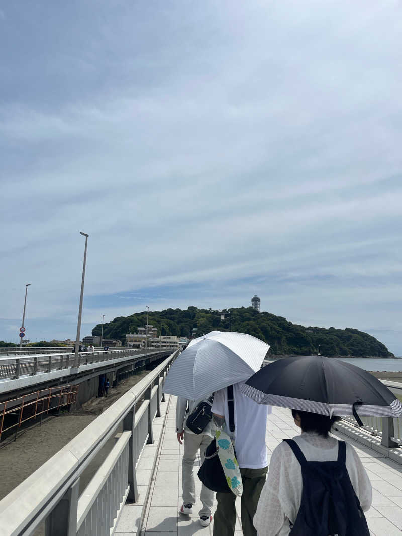 たなかさんの綱島源泉 湯けむりの庄のサ活写真