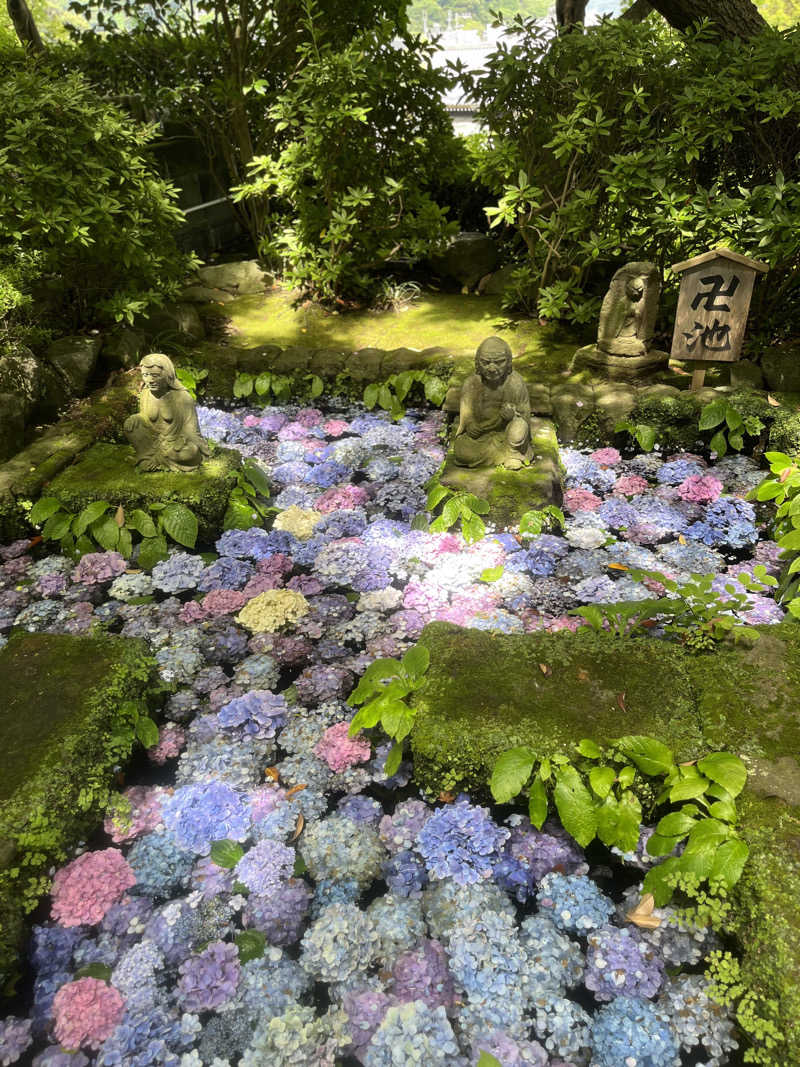 たなかさんの綱島源泉 湯けむりの庄のサ活写真