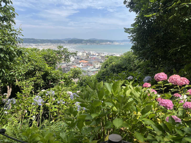 たなかさんの綱島源泉 湯けむりの庄のサ活写真