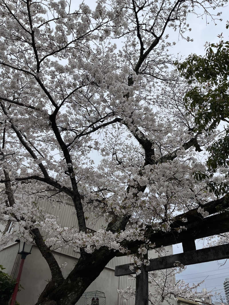 たなかさんのあおい温泉 草薙の湯のサ活写真