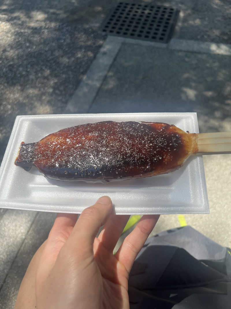 たなかさんの龍城さうなのサ活写真