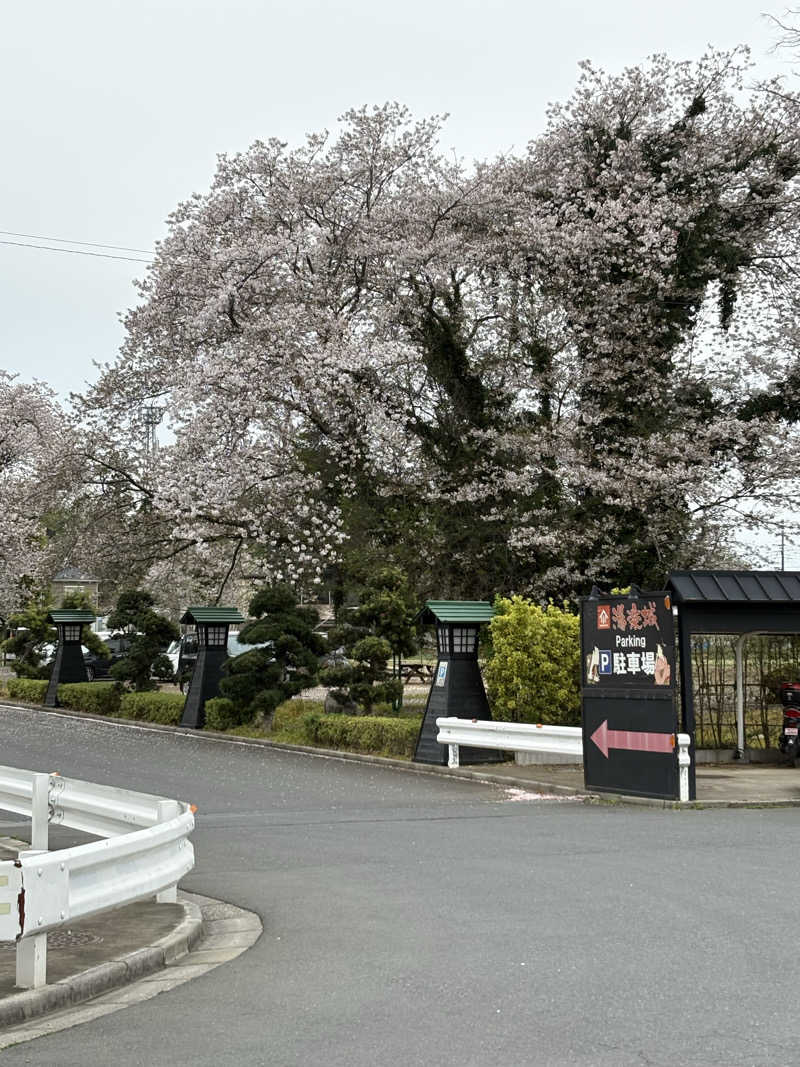しのさんの東京湯楽城のサ活写真