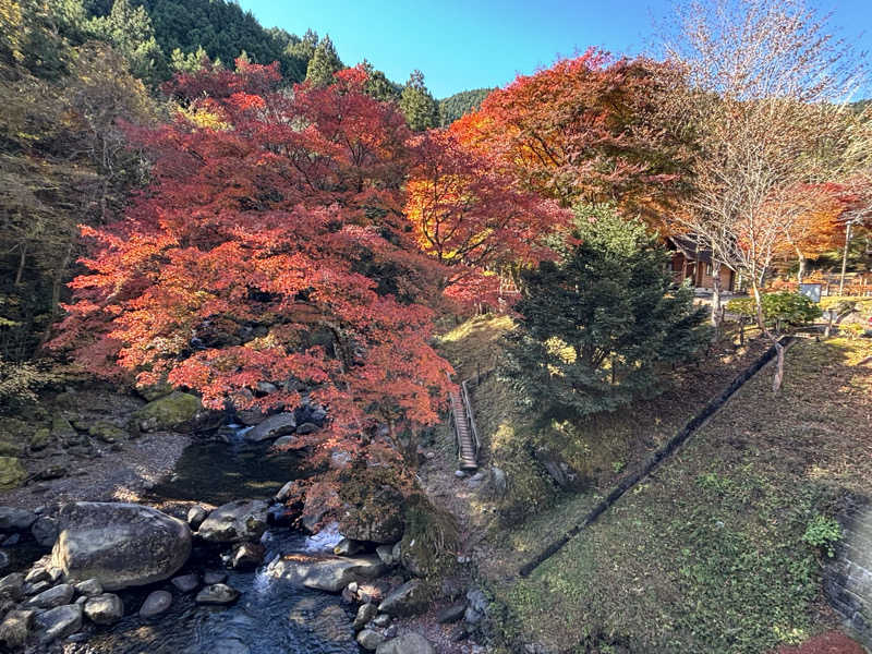mimi@アラサーOLさんのザランタン鹿沼 前日光あわの山荘のサ活写真