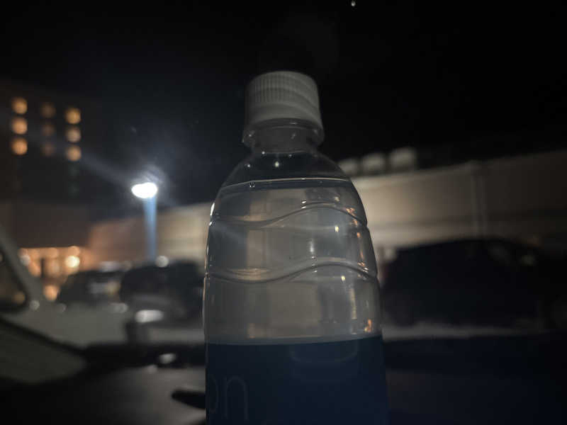 しゅんさんのリブマックスリゾート函館  グリーンピア大沼のサ活写真