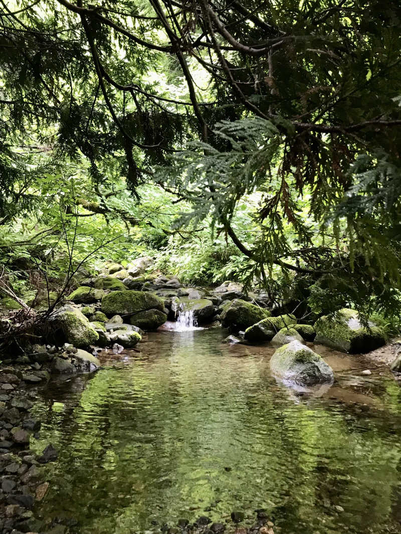 74さんの櫛引温泉 ゆ〜Townのサ活写真