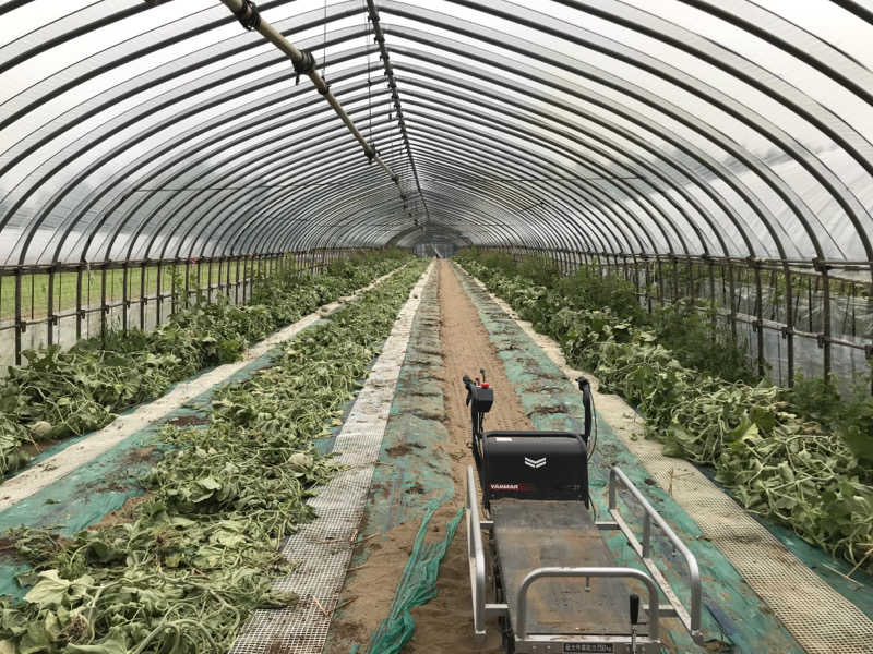 74さんの水沢温泉館のサ活写真