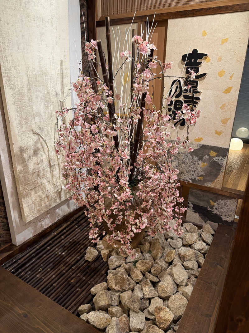 サウナー20251129さんの天空SPA HILLS 竜泉寺の湯 名古屋守山本店のサ活写真