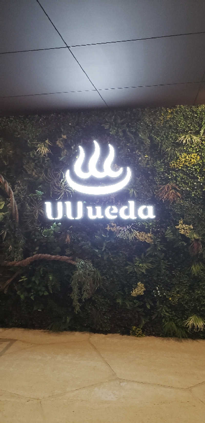 あおきさんのUU ueda ユーユーウエダのサ活写真