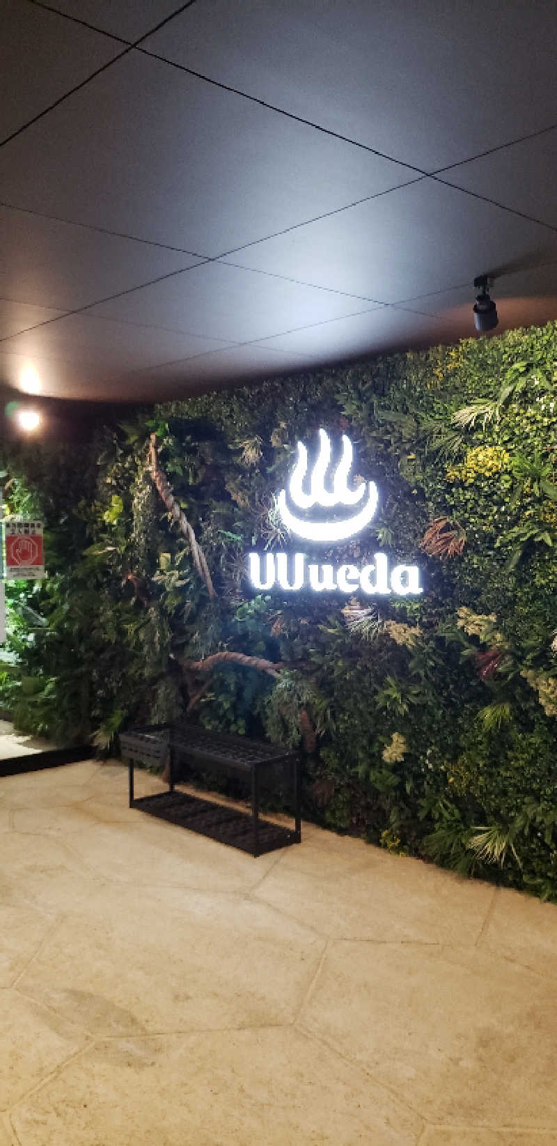 あおきさんのUU ueda ユーユーウエダのサ活写真