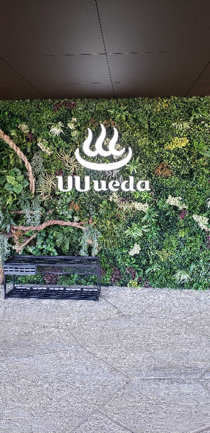 あおきさんのUU ueda ユーユーウエダのサ活写真