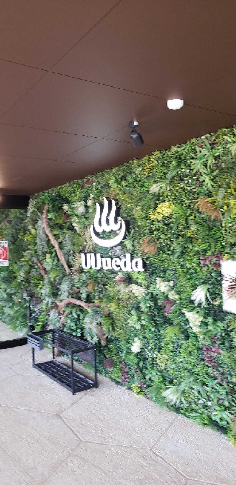 あおきさんのUU ueda ユーユーウエダのサ活写真