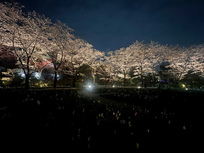 noooaさんのよみうりランド眺望温泉 花景の湯のサ活写真