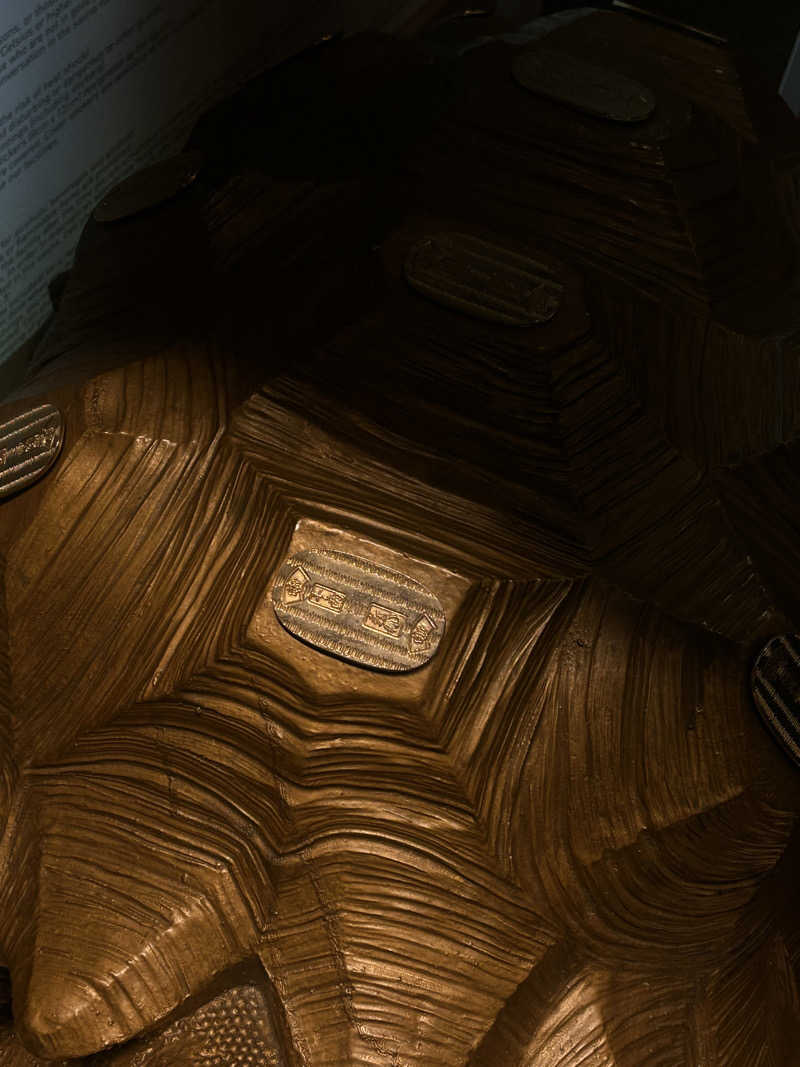 ろたさんの生姜サウナ「金の亀」のサ活写真