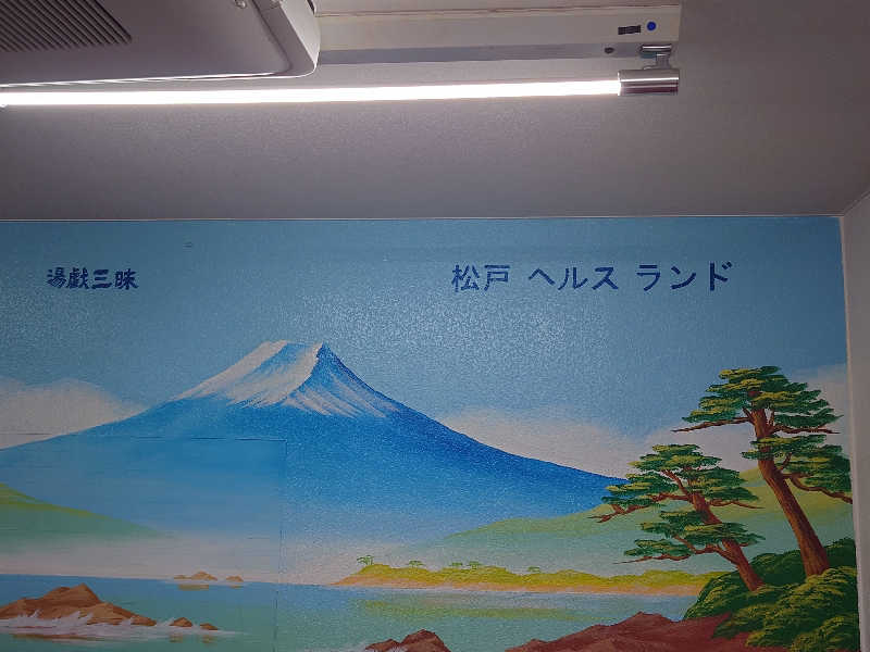 case-kさんの松戸ヘルスランド(みなもと湯)のサ活写真