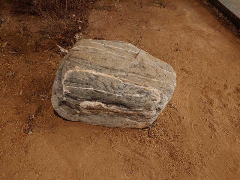 case-kさんの南柏天然温泉すみれのサ活写真