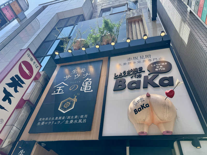 カミやんさんの生姜サウナ 金の亀のサ活写真