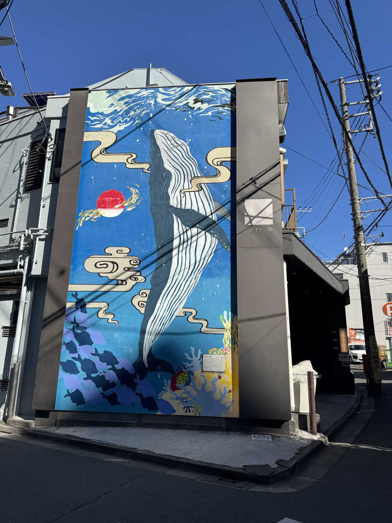 ポンコツたぬきさんの改良湯のサ活写真