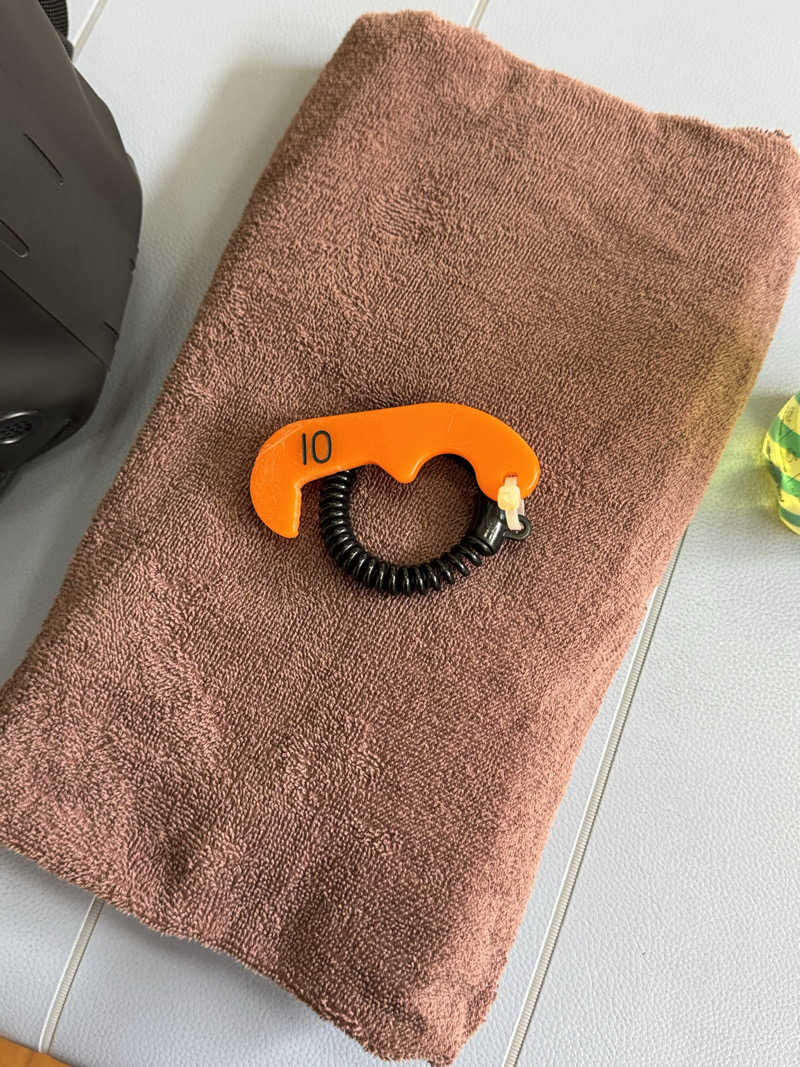 ポンコツたぬきさんのアクア東中野のサ活写真