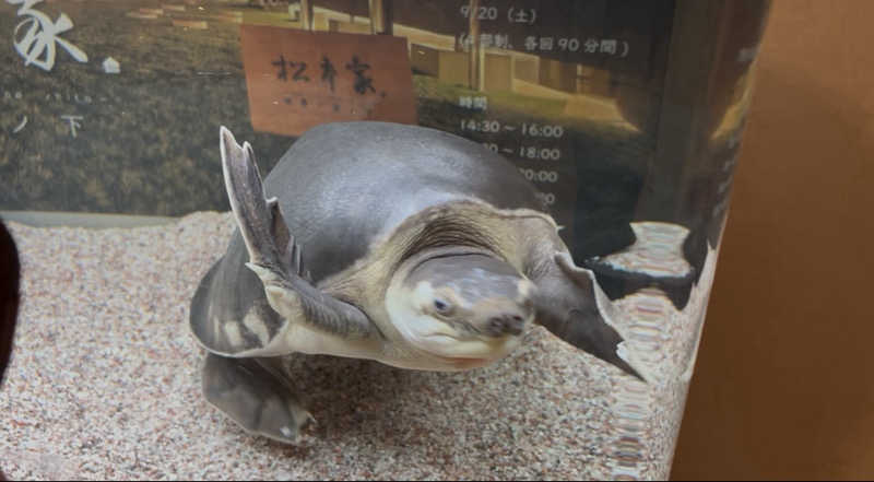 タカさんの松本湯のサ活写真