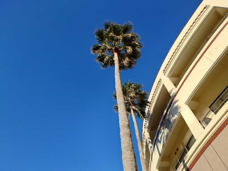 3206さんの青島サンクマールのサ活写真