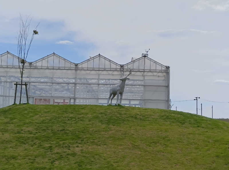 makatoさんのアクアイグニス仙台 藤塚の湯のサ活写真