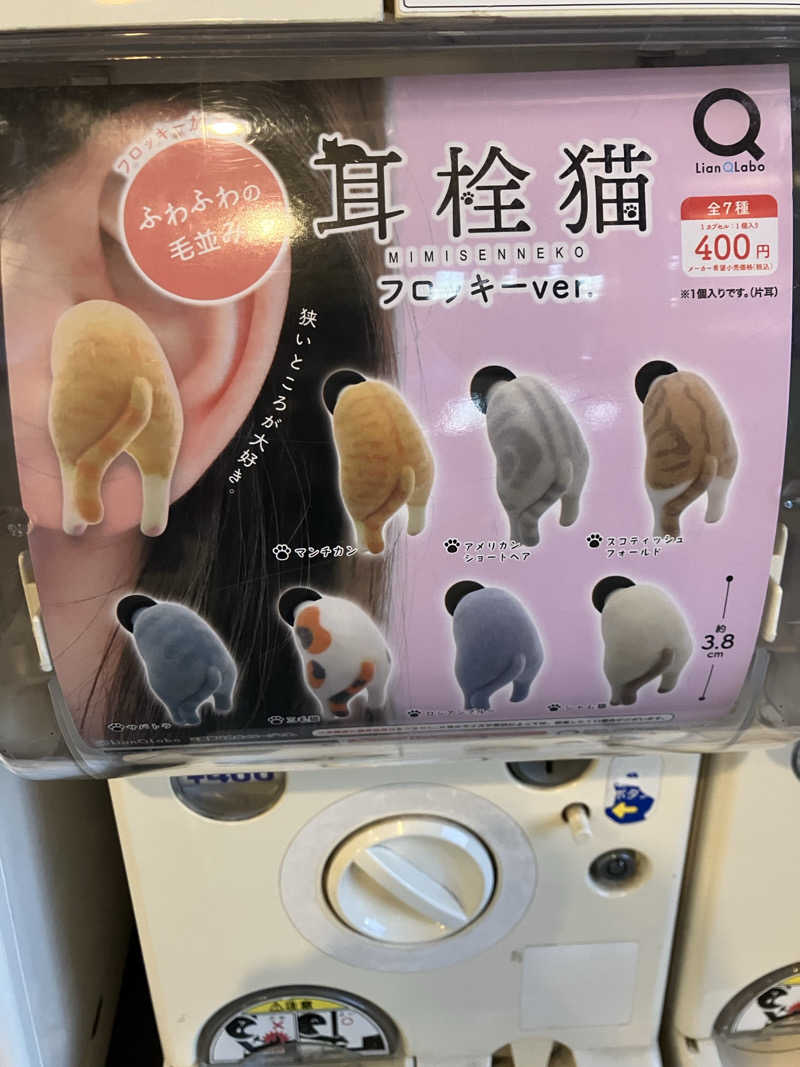 かんかんさんの極楽湯 宇都宮店のサ活写真