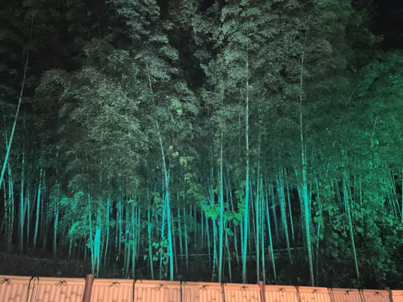 かんかんさんの横浜青葉温泉 喜楽里別邸のサ活写真