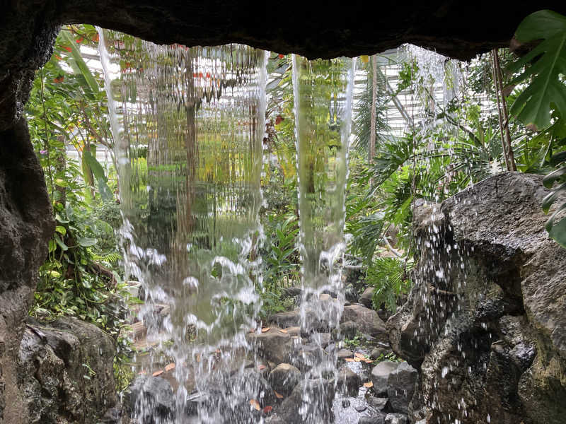 かんかんさんのおふろcafé りんねの湯のサ活写真