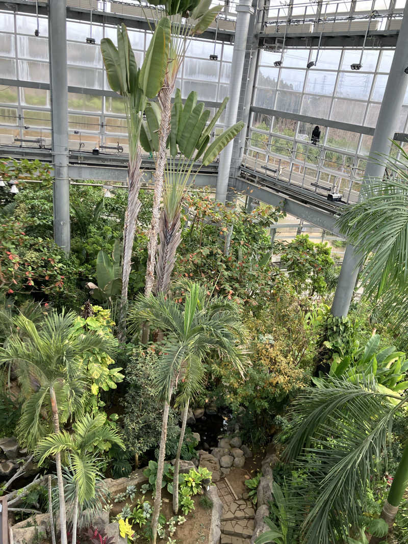 かんかんさんのおふろcafé りんねの湯のサ活写真