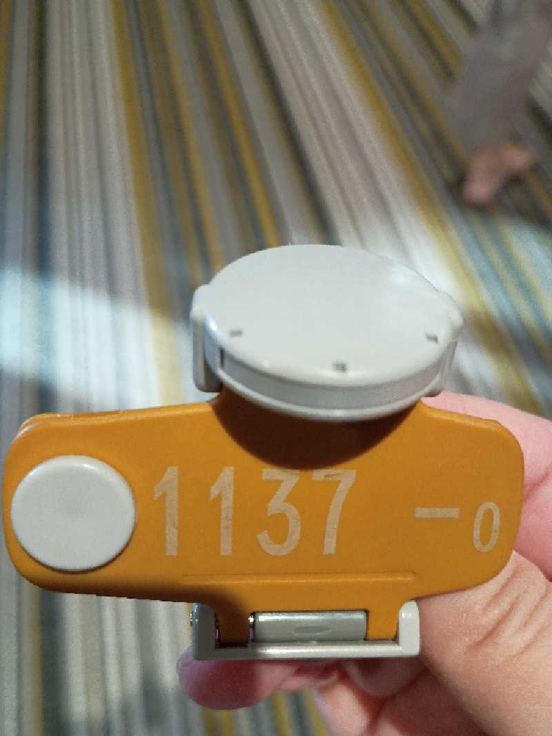 あ(^_^)さんの湘南RESORT SPA 竜泉寺の湯 湘南茅ヶ崎店のサ活写真