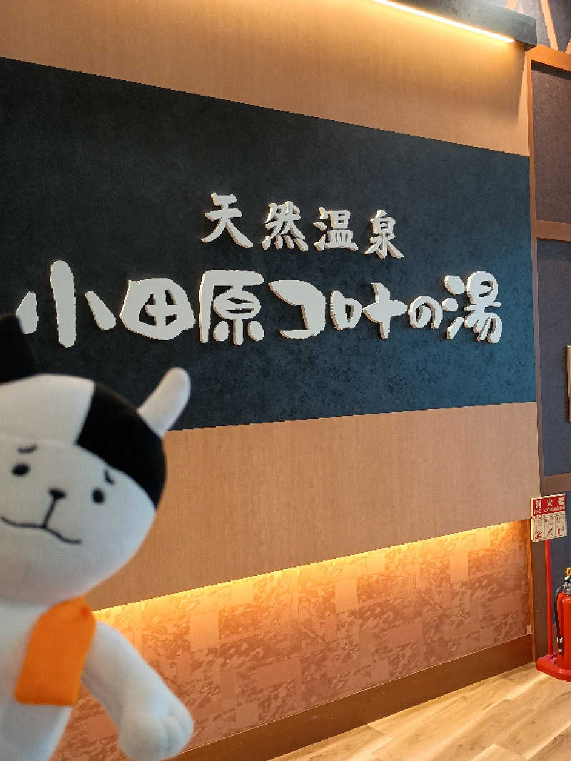 あ(^_^)さんの天然温泉 小田原コロナの湯のサ活写真