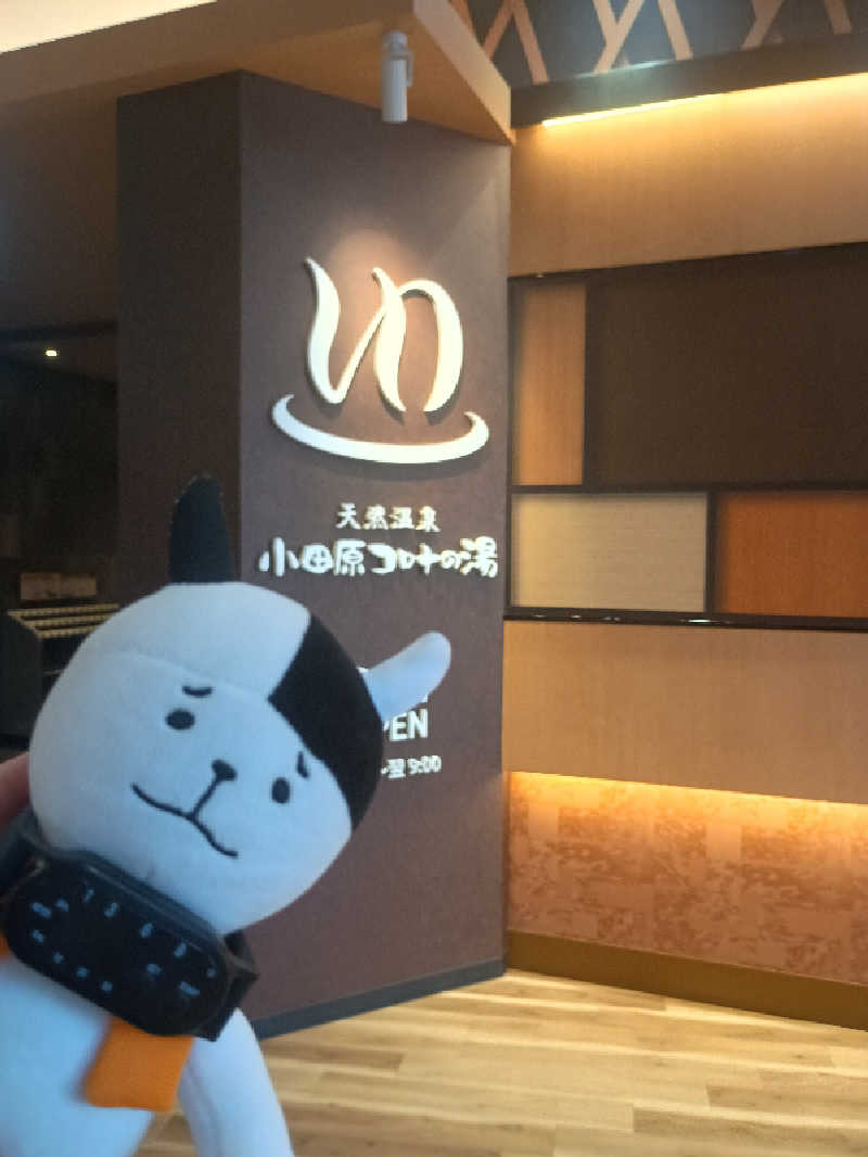 あ(^_^)さんの天然温泉 小田原コロナの湯のサ活写真