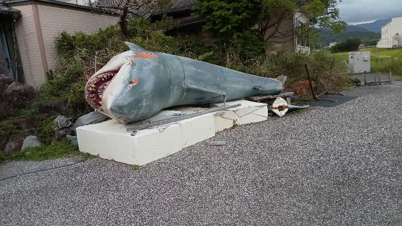 讃岐富士さんの土佐望月温泉 姫若子の湯のサ活写真