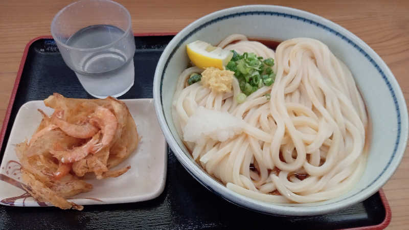 讃岐富士さんの土佐望月温泉 姫若子の湯のサ活写真