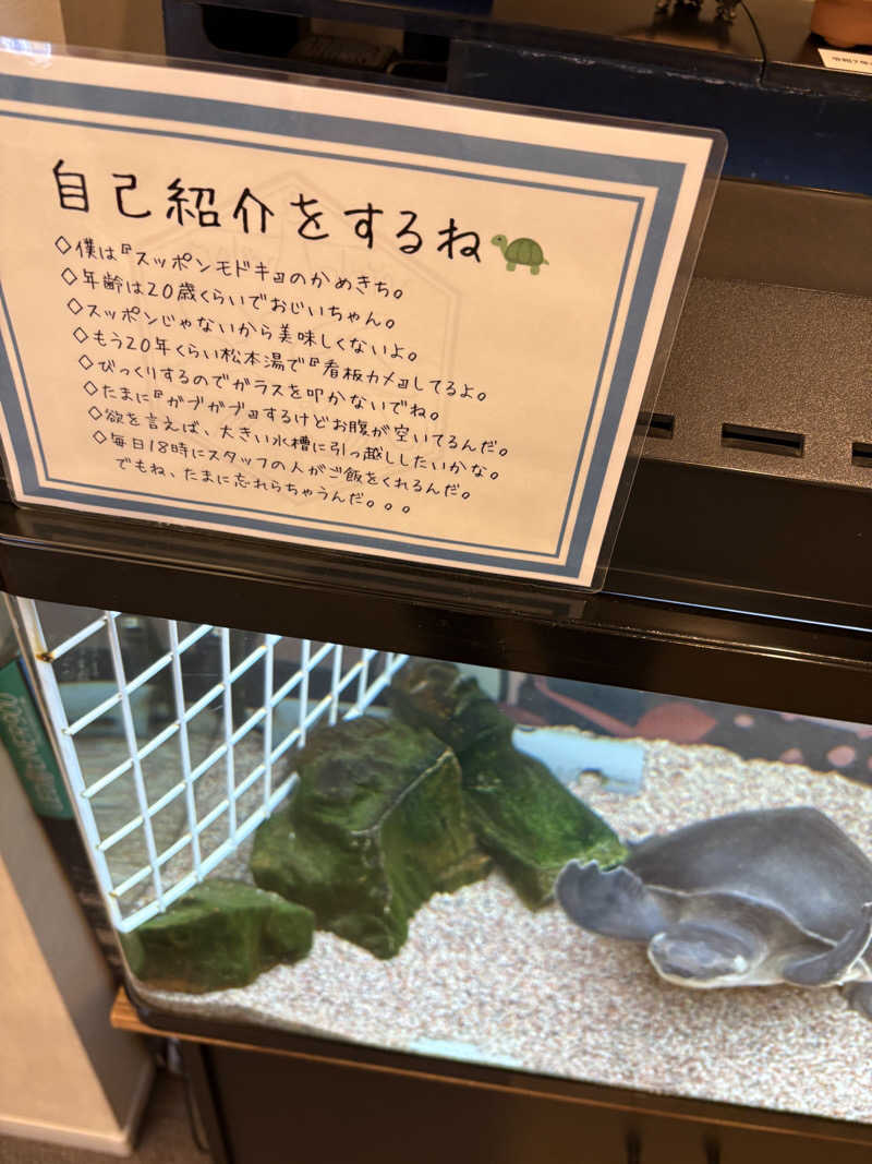 てじさんの松本湯のサ活写真