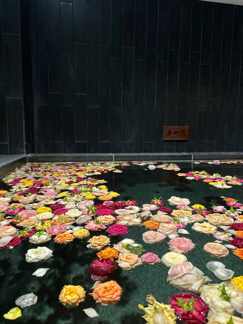 ボスベイビーさんの東静岡 天然温泉 柚木の郷のサ活写真