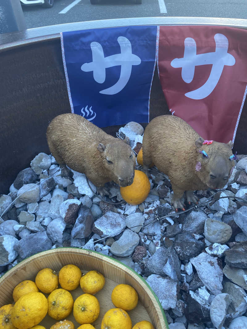 はるちっちさんの富士山天然水SPA サウナ鷹の湯のサ活写真